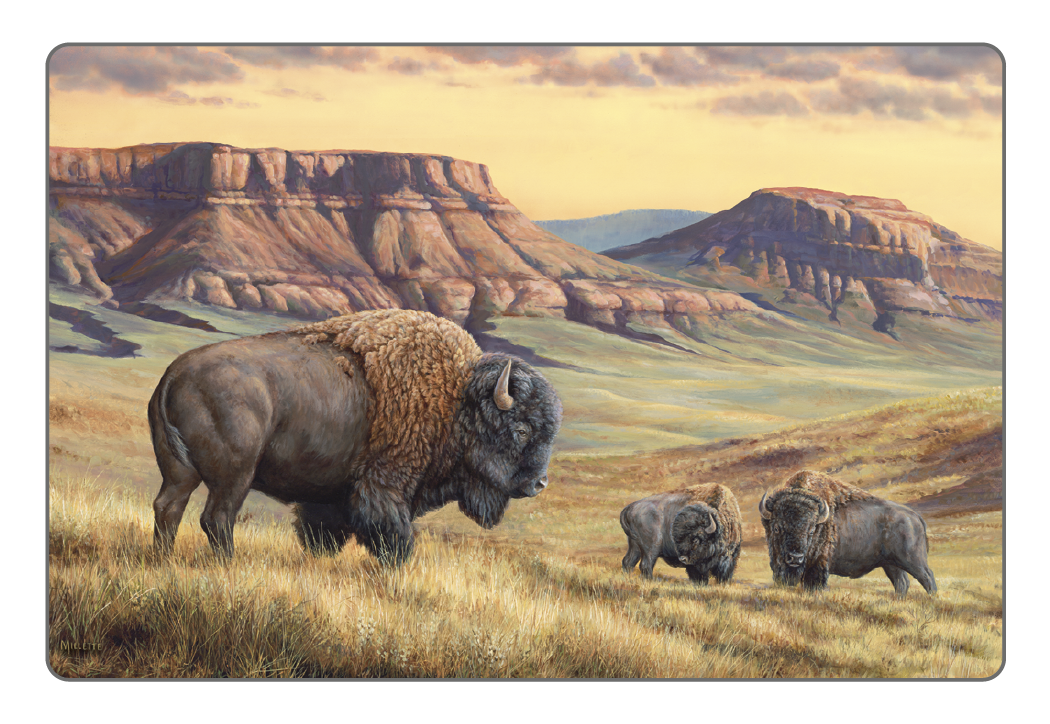 Triumph® Calendars Wildlife Art Pocket Calendar 25