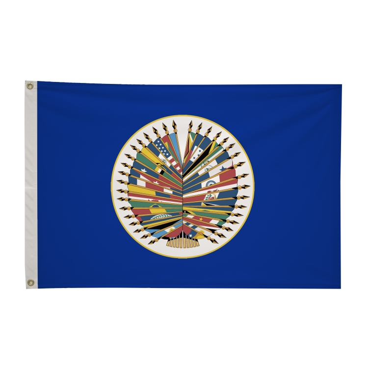 2' x 3'International Flag 276