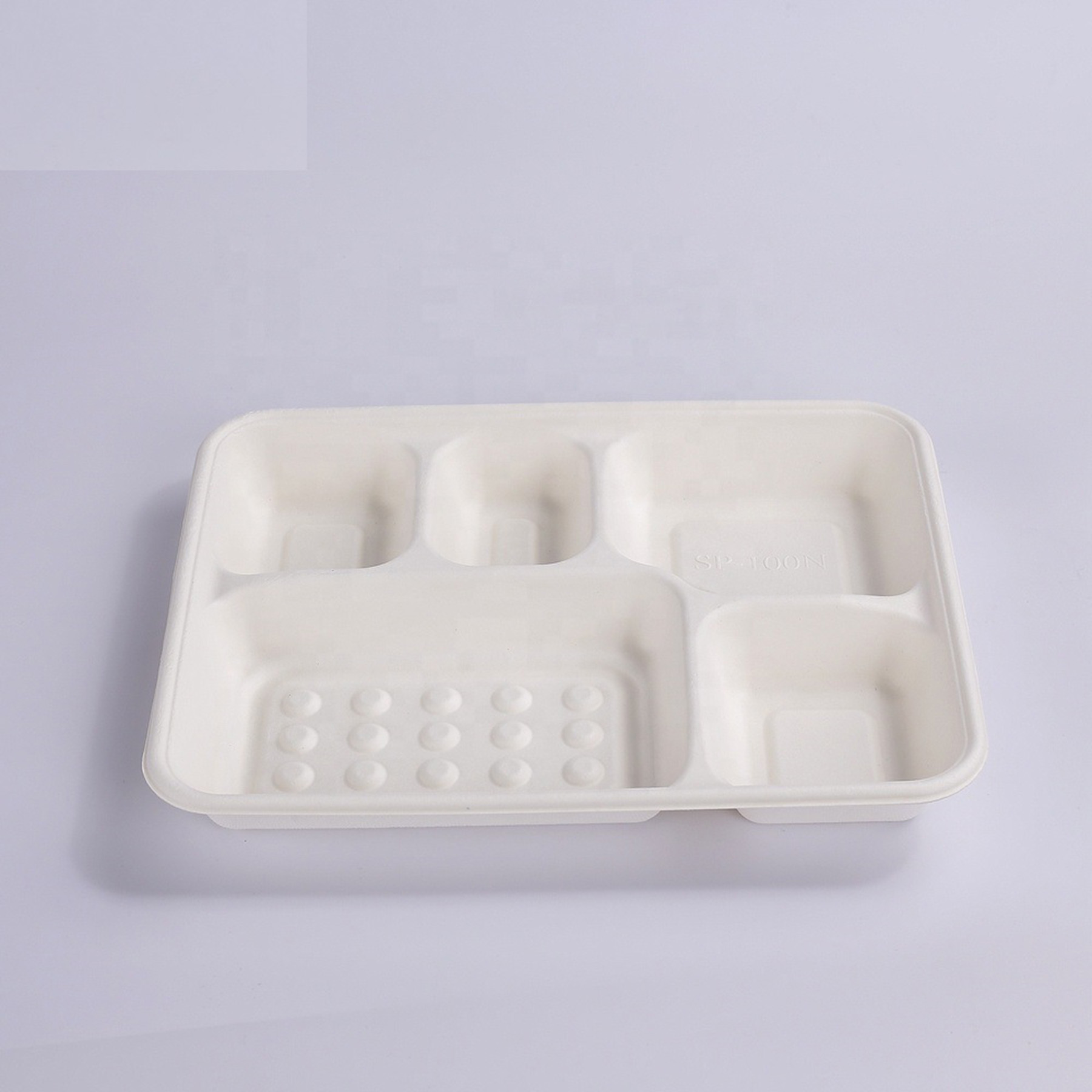 Disposable Bagasse Food Tray 4