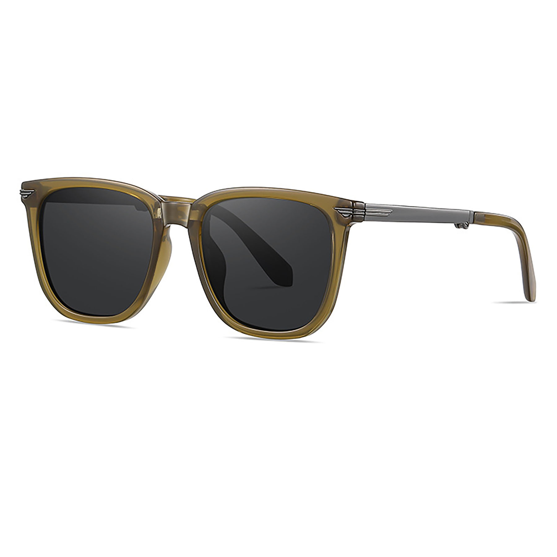 Polarized Sunglasses 1