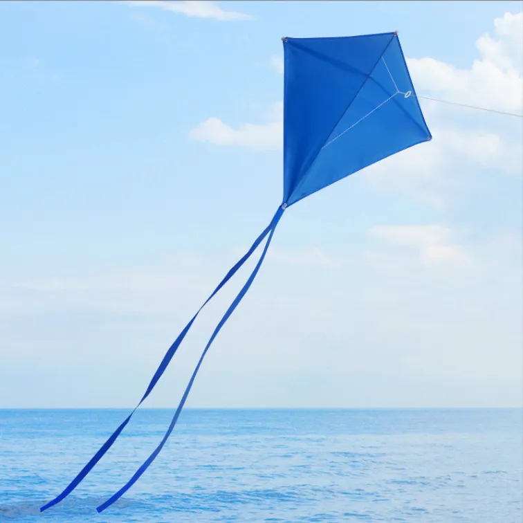 Custom Diamond Kite 4
