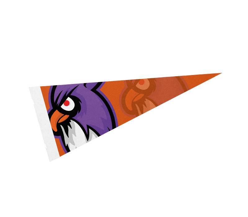5" x 12" Full Color Felt Pennant Flag Banner with Strip 1