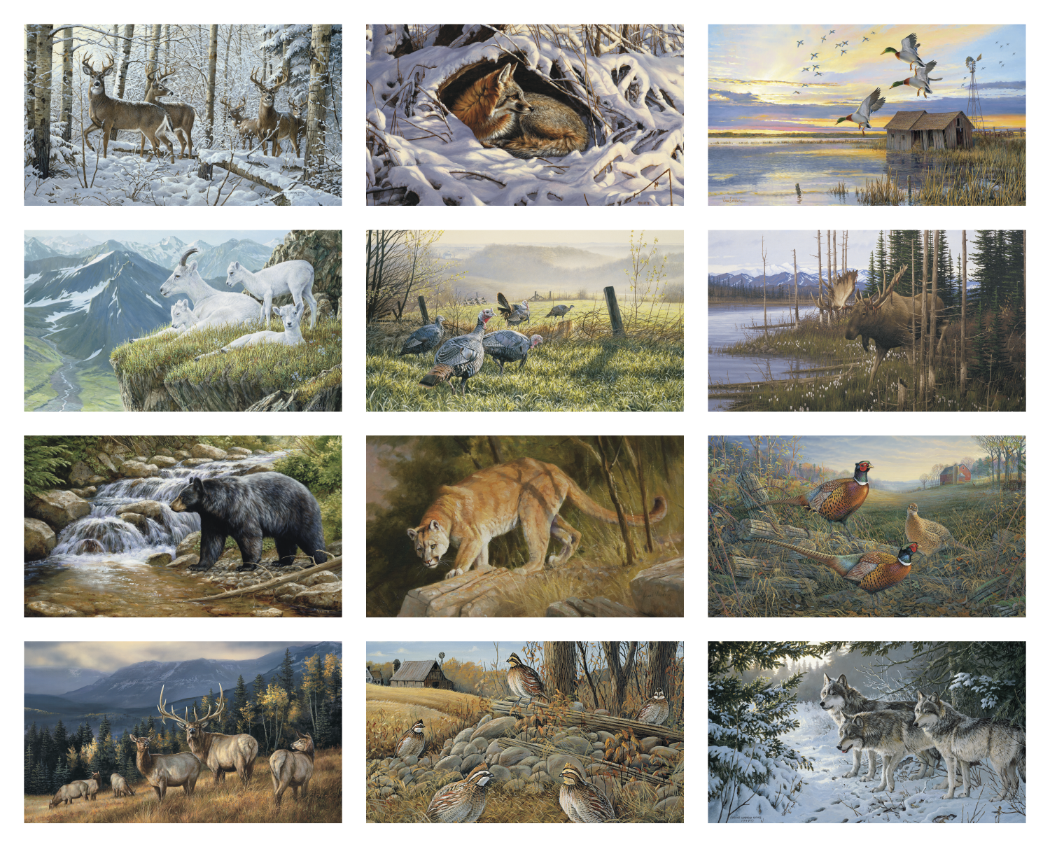 Triumph® Calendars Wildlife Art Calendar 36