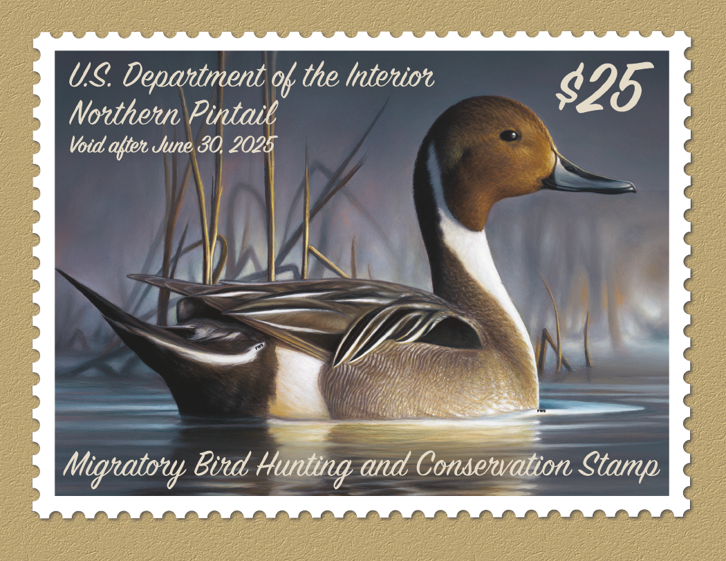 Triumph® Calendars Duck Stamps Calendar 9