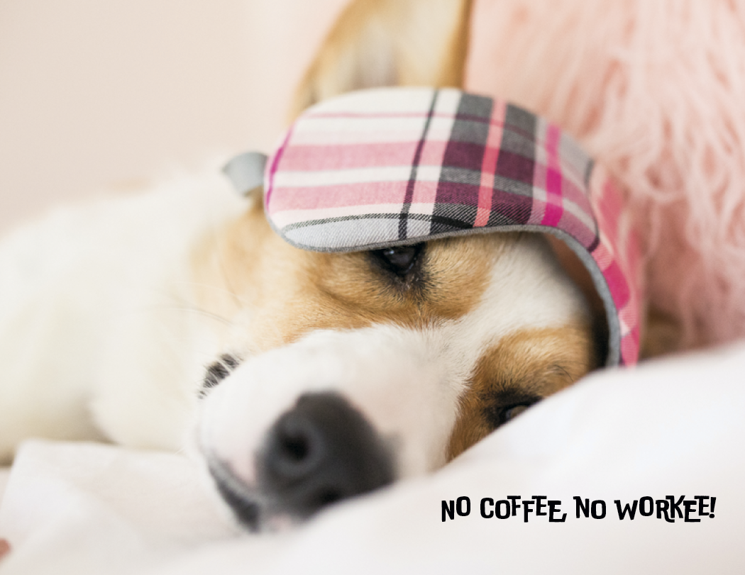 Good Value™ Pets with Attitude - Spiral Calendar 28
