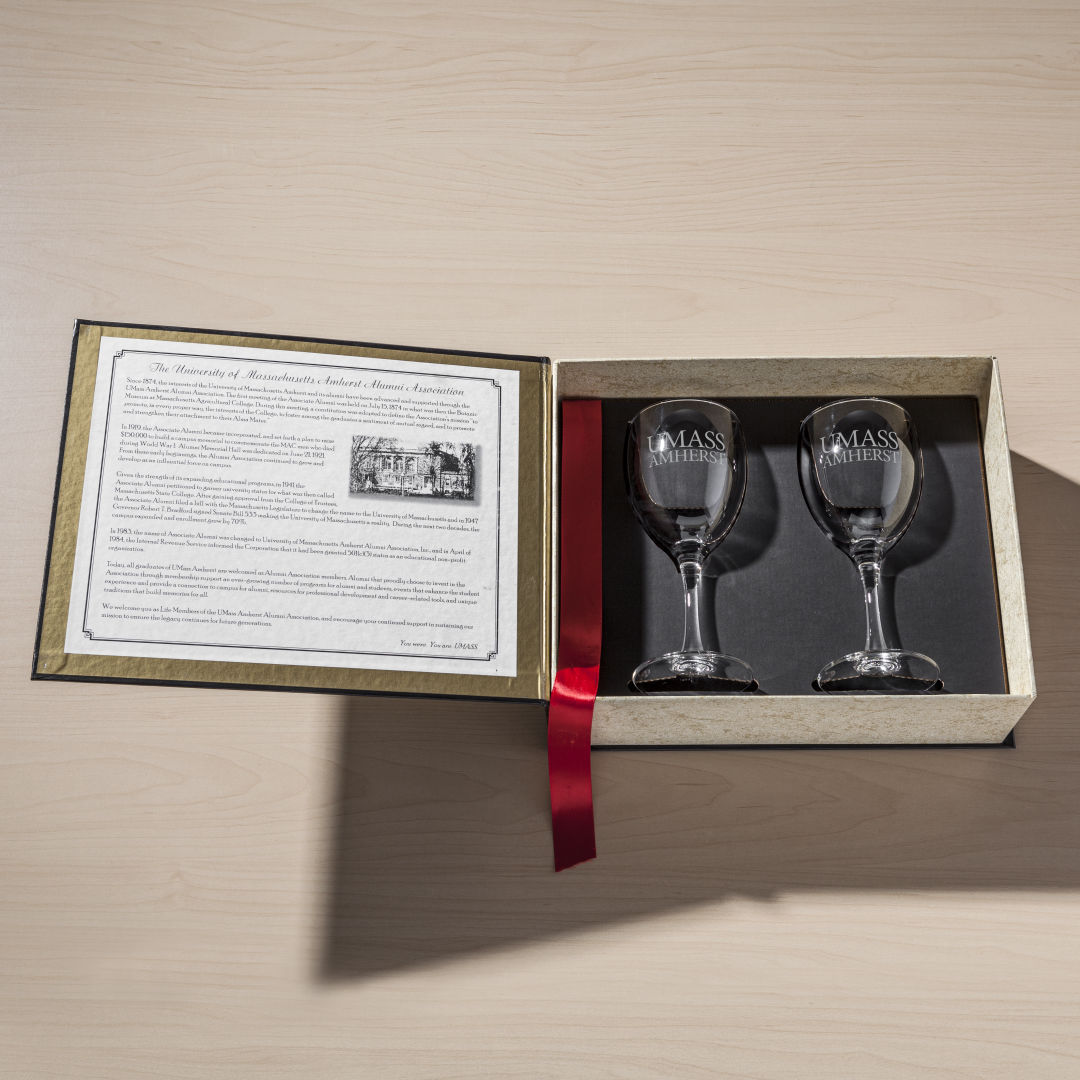 Storybook® Classic - Wine Glasses (2 pc) 6
