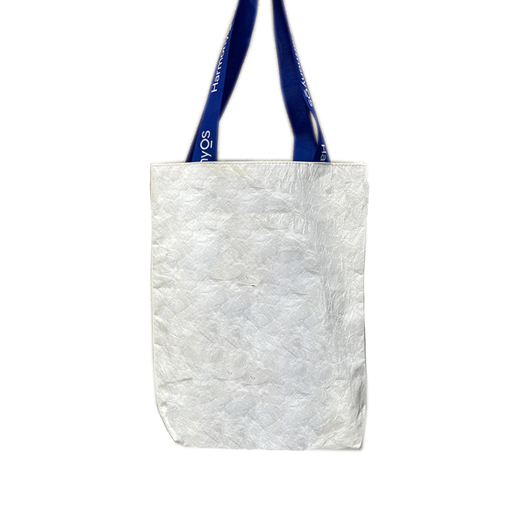 Recyclable Paper Gift Bag 4