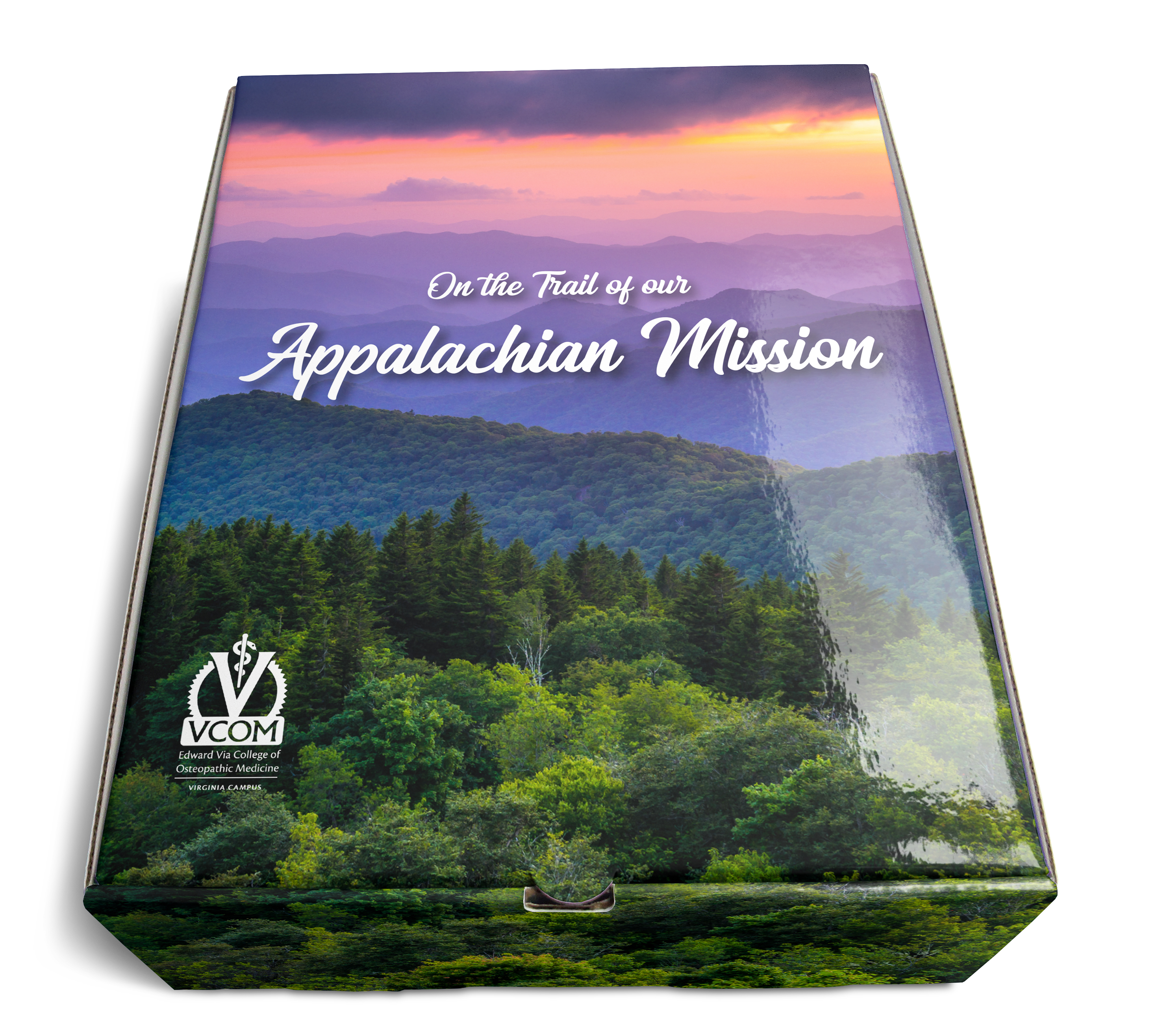 CUSTOM BOX | 9.25" x 12" x 3.6" (full color & eco-friendly high gloss finish) 2
