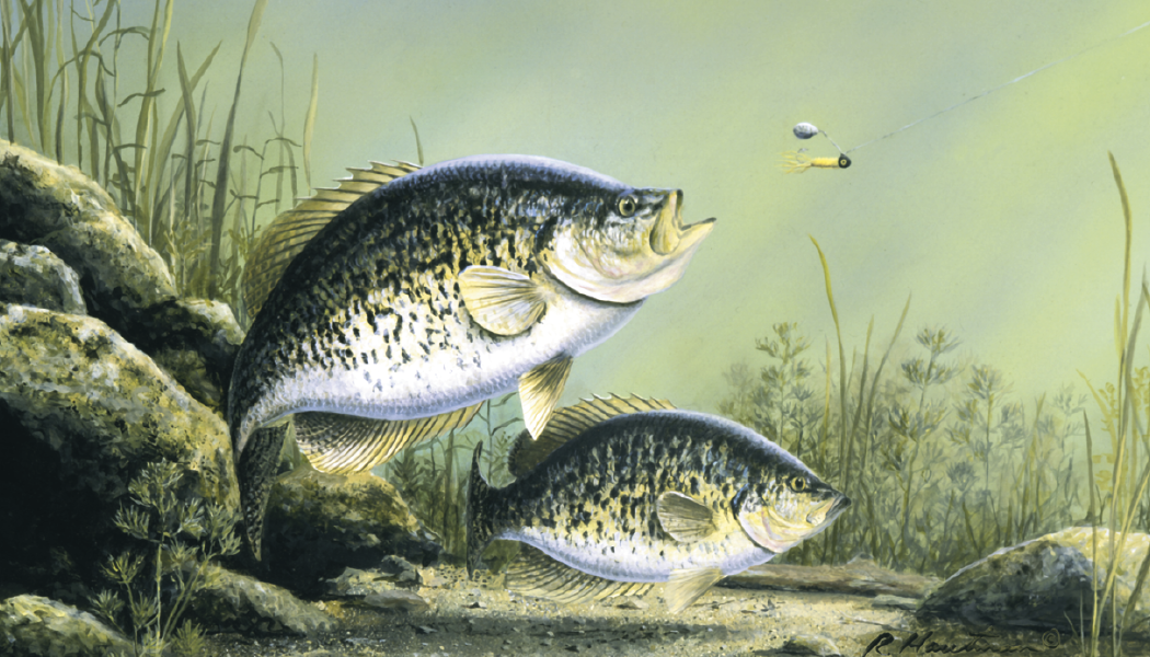 Triumph® Calendars Wildlife Art by the Hautman Brothers Calendar 36
