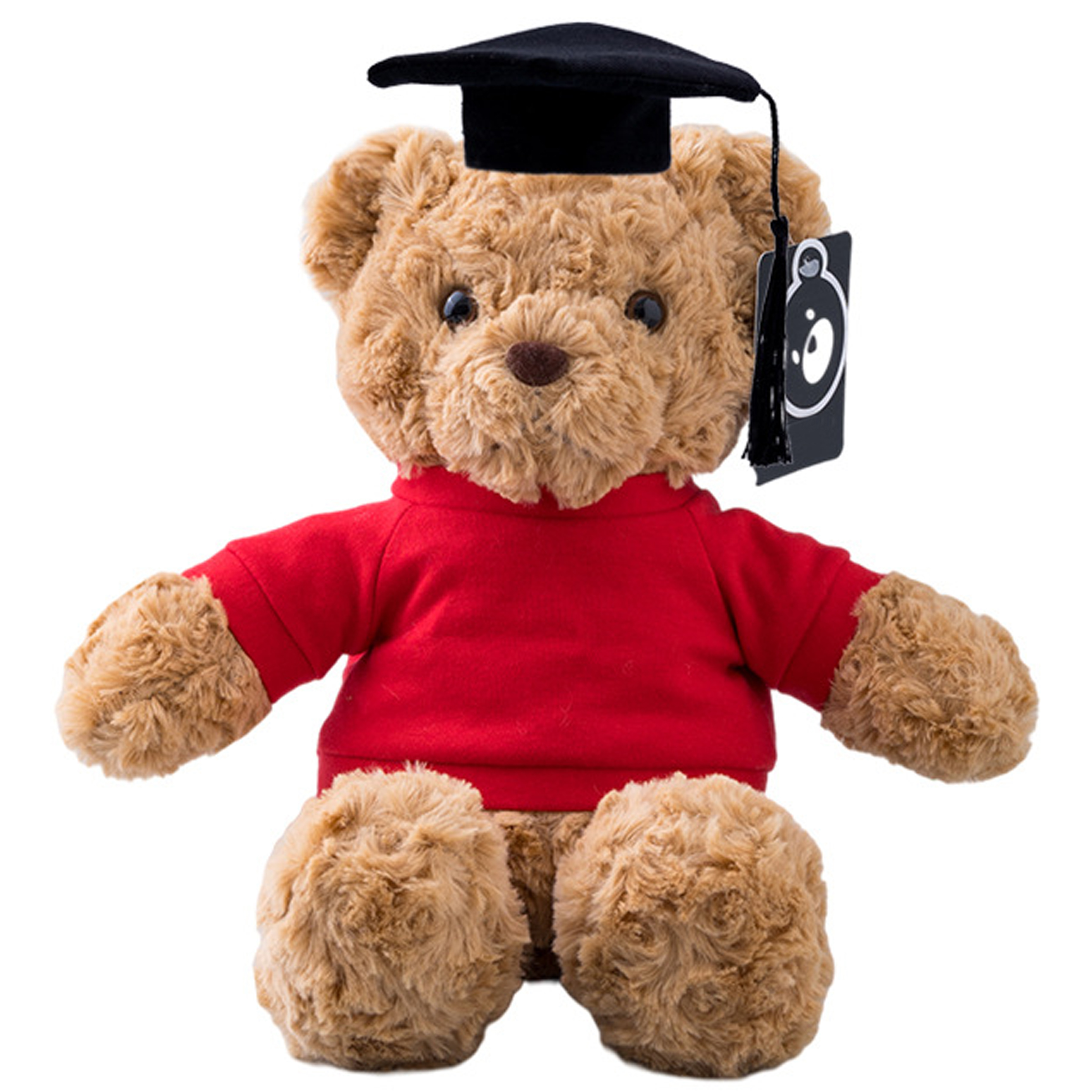 Polypropylene Fiber Graduation Ceremony Teddy Bear Doll 10