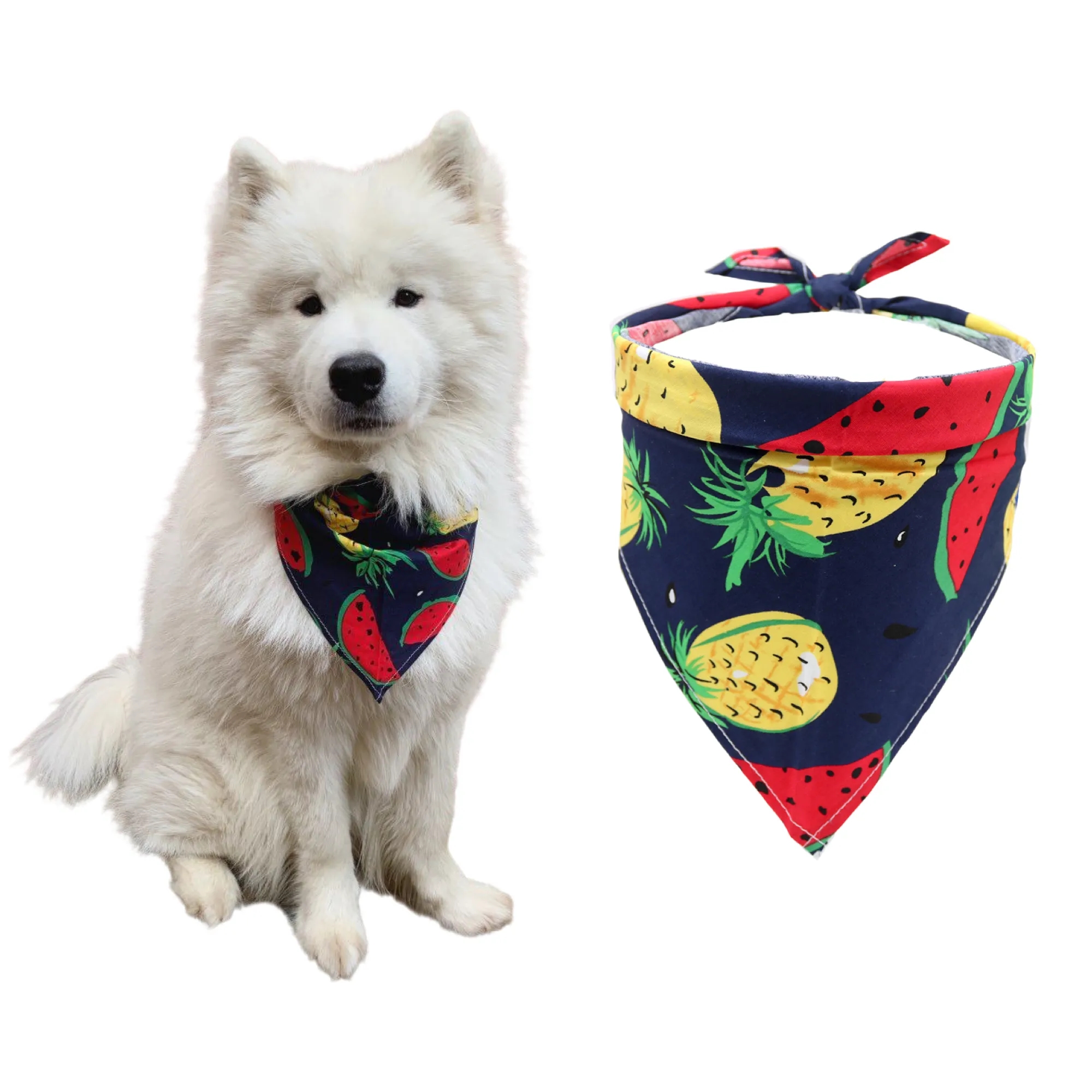 Full Color Pet Bandana Scarf 2