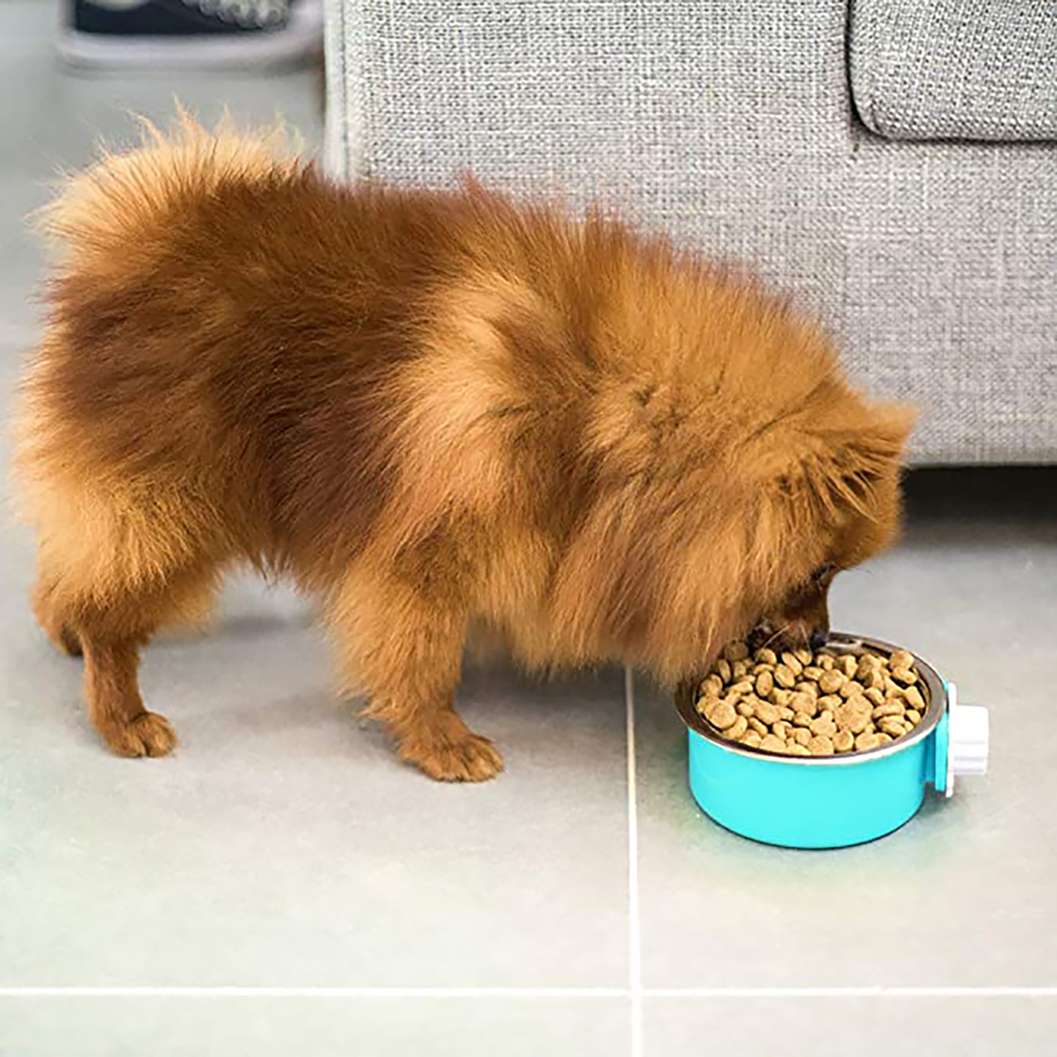 Hanging Kennel Pet Bowl 3
