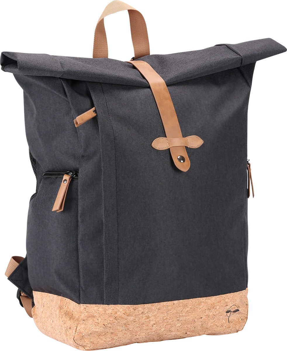 EarthTrendz™ rPET Rolltop Backpack 25