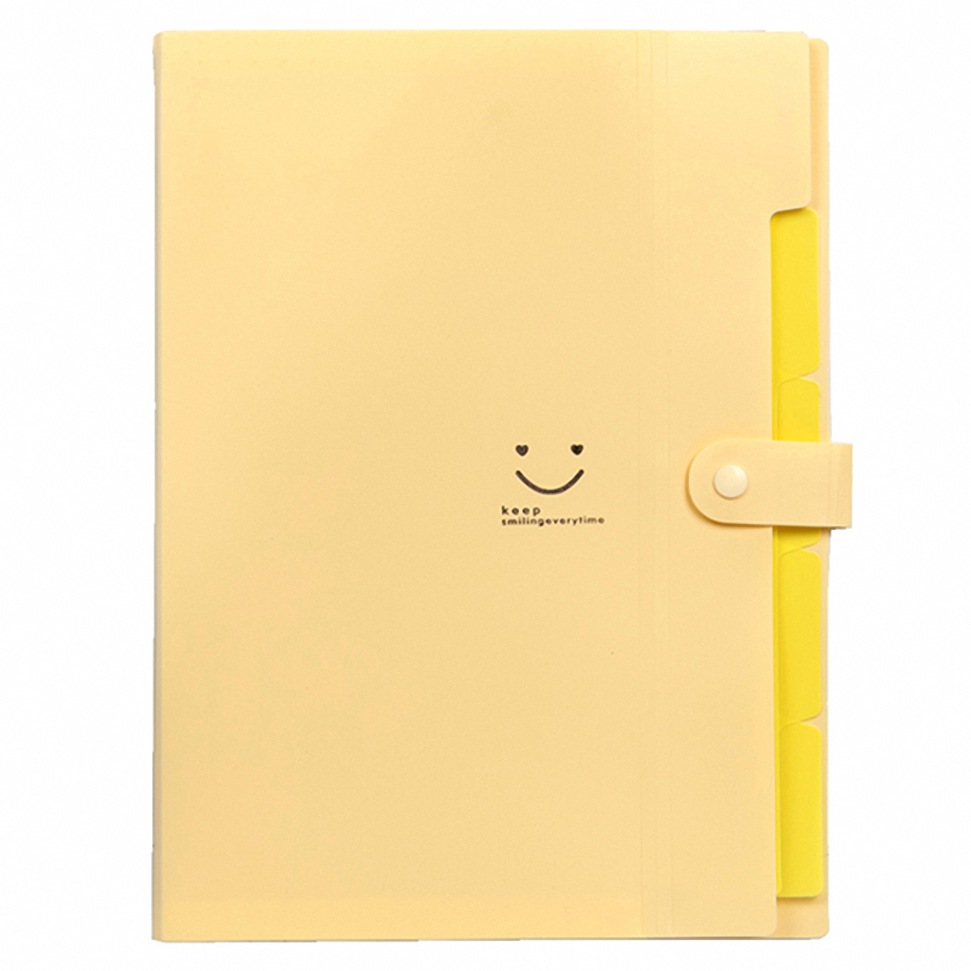 Expandable Poly File Folder with Snap Closures and Multi Pockets 2
