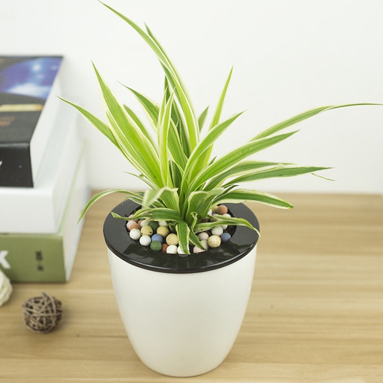 Mini Desk Plant Pot 5