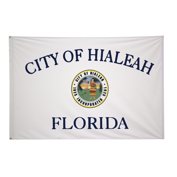 4' x 6' City Flags 19