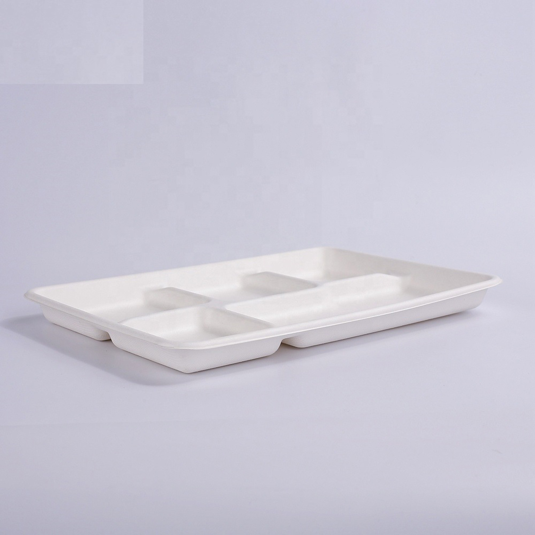 Disposable Bagasse Food Tray 3