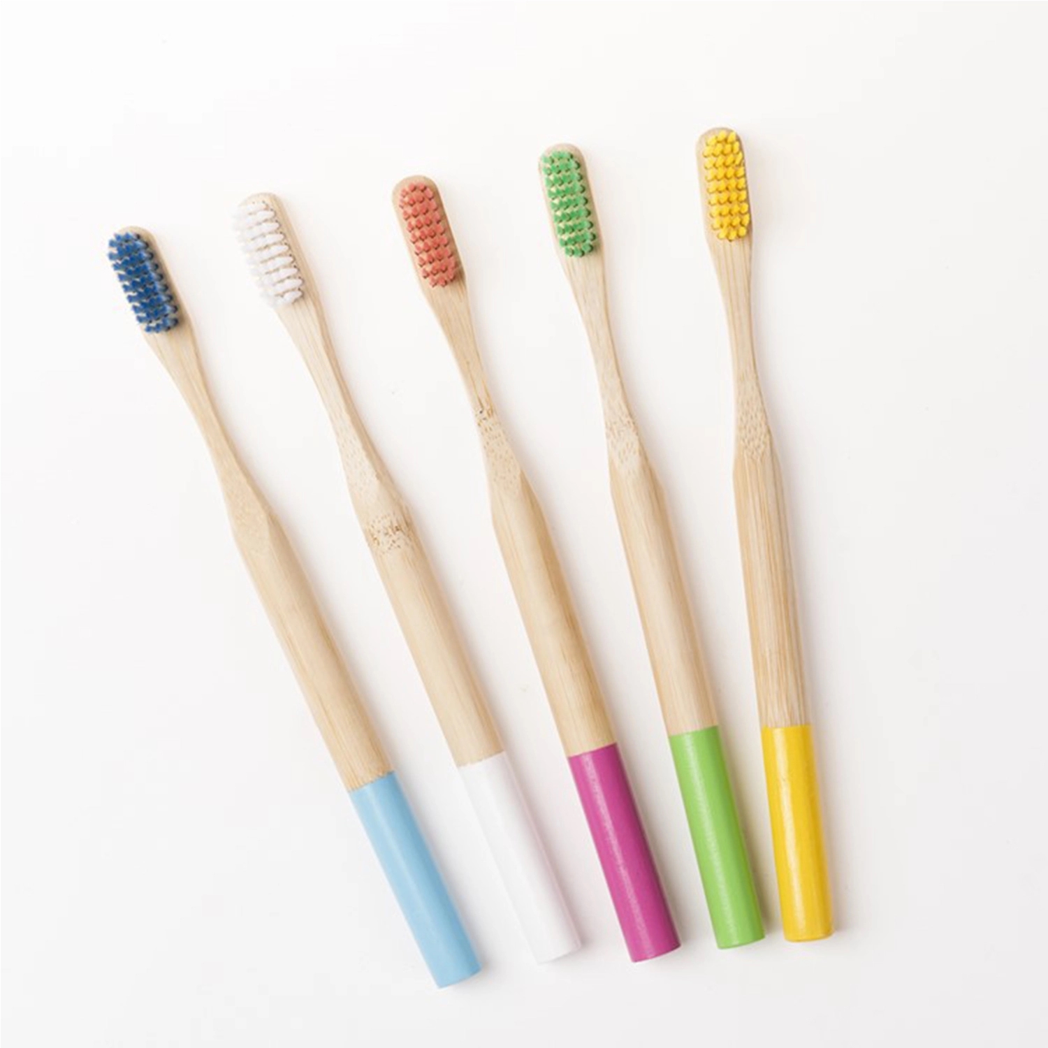 Round Toothbrushes 1