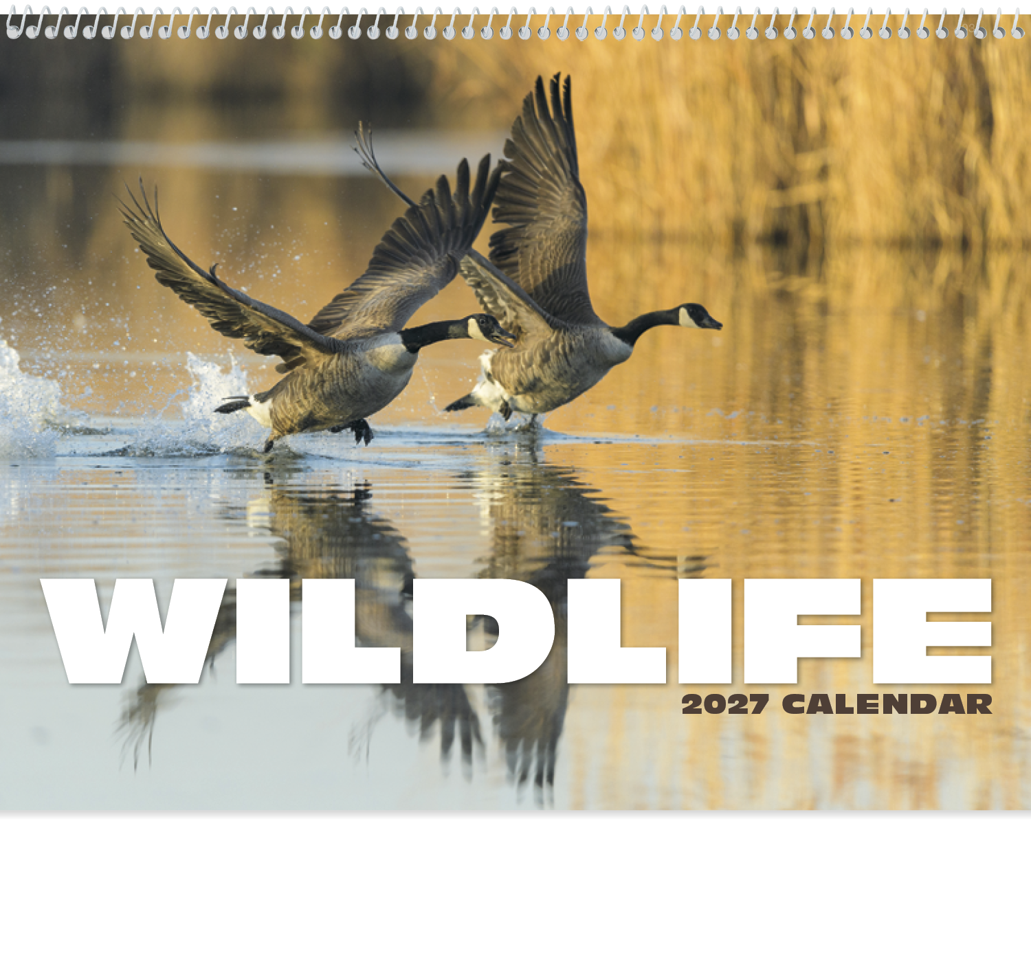 HotLine® Products Wildlife Appointment Calendar - Spiral 31