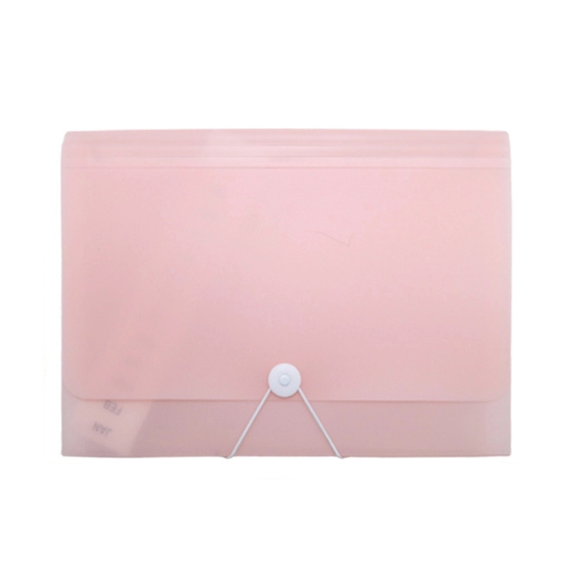 PP Plastic 13-Pocket Expanding A4-Size Portfolio File Folder 10