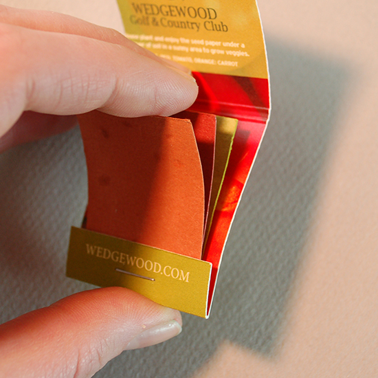 Small Veggie Seed Paper Matchbook, Double-Sided 5