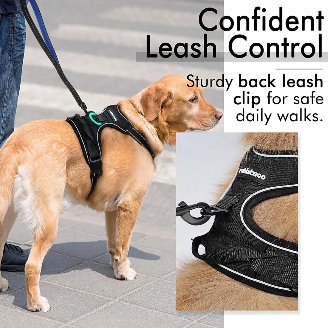 No Pull Adjustable Dog Harness 1