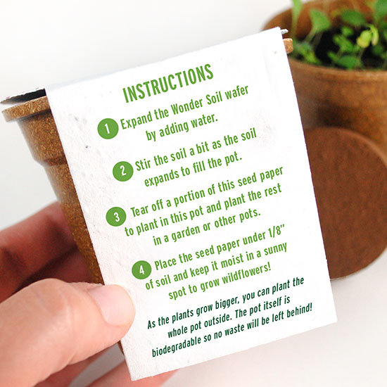 Earth Day Seed Paper Sprouter Kits 3