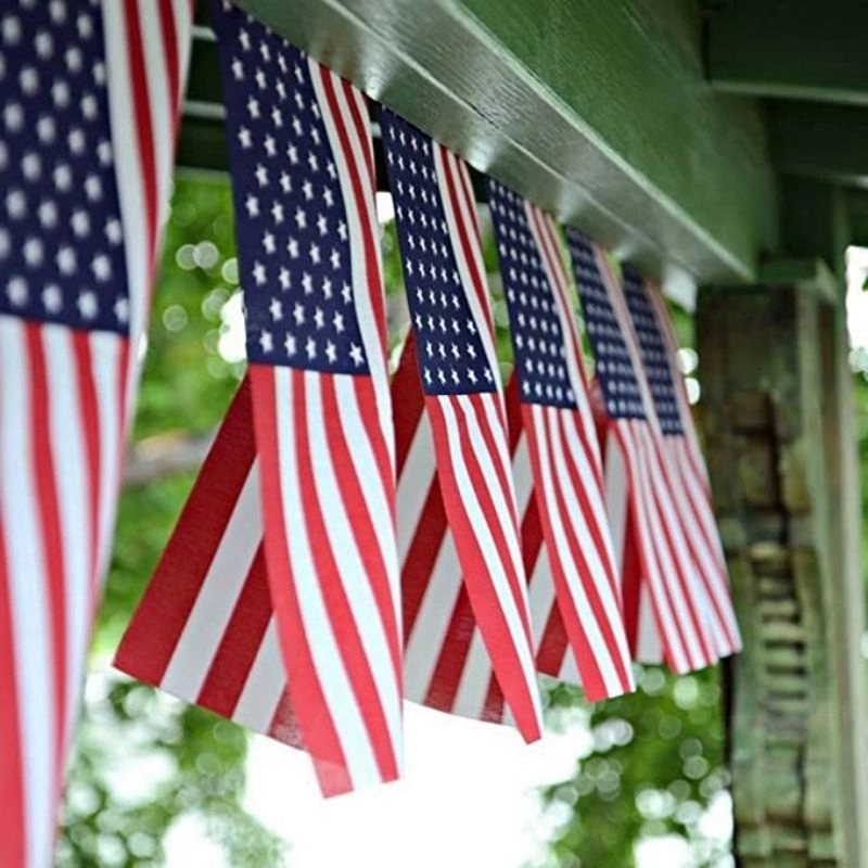 American String Pennant Banners 6