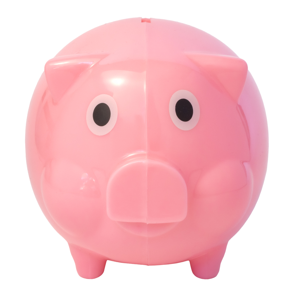 Pig Coin Bank 4