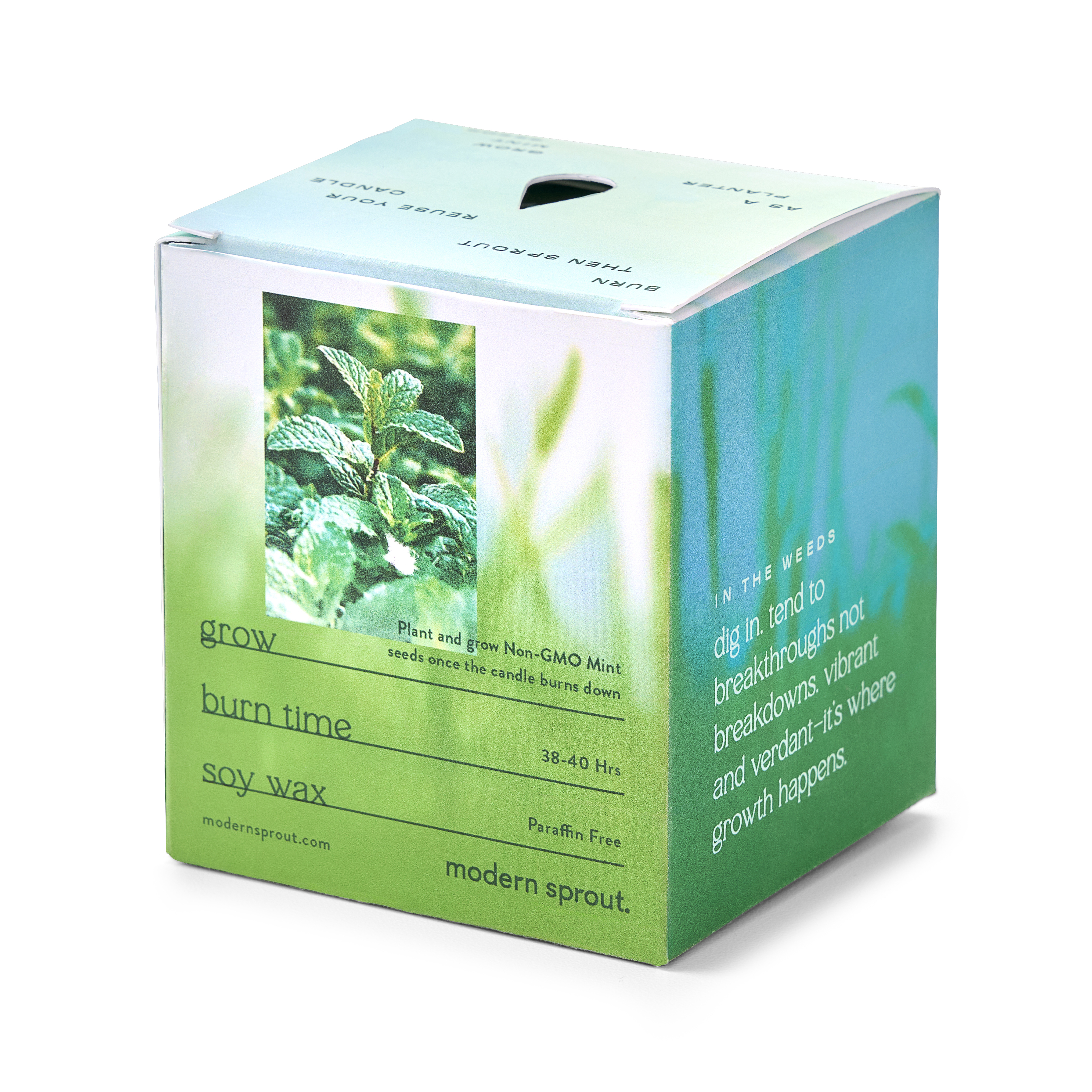 Modern Sprout® Garden Vibes Candle/Planter 75
