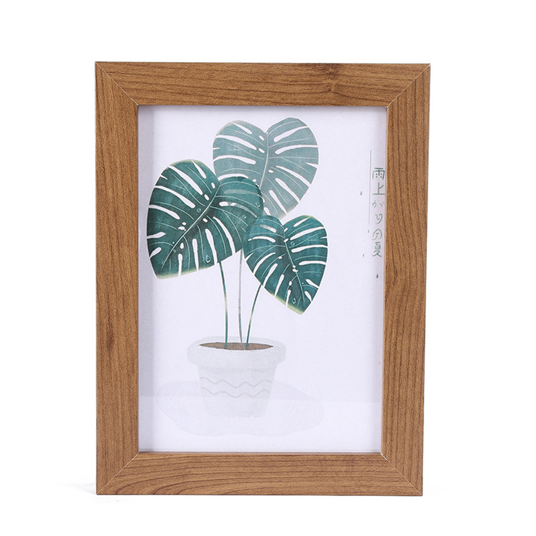 Display Picture Frame 2