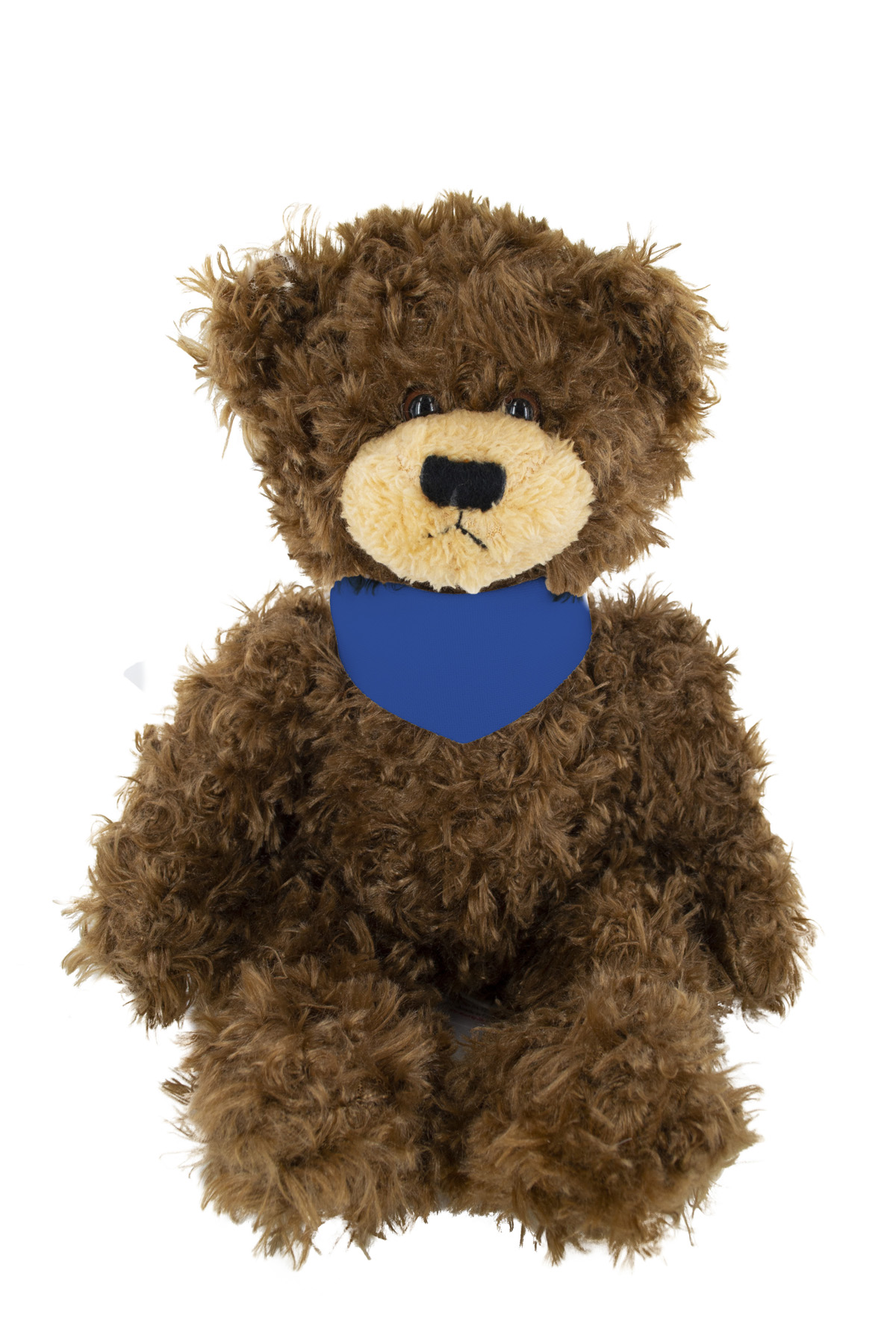 soft plush Chocolate Brandon Bear with bandana 5