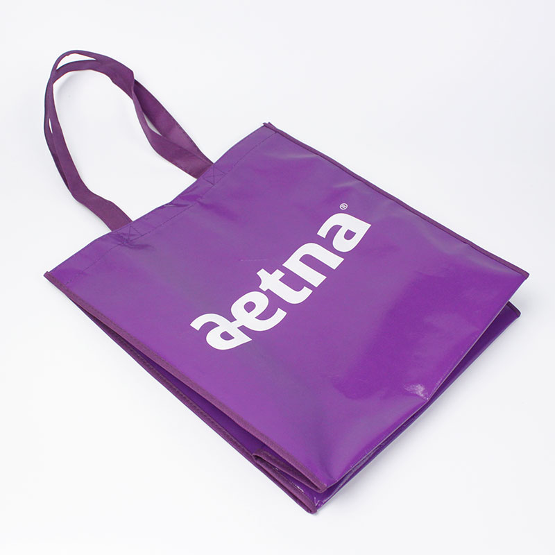 Eco Laminated Non Woven Shopping Bag 5