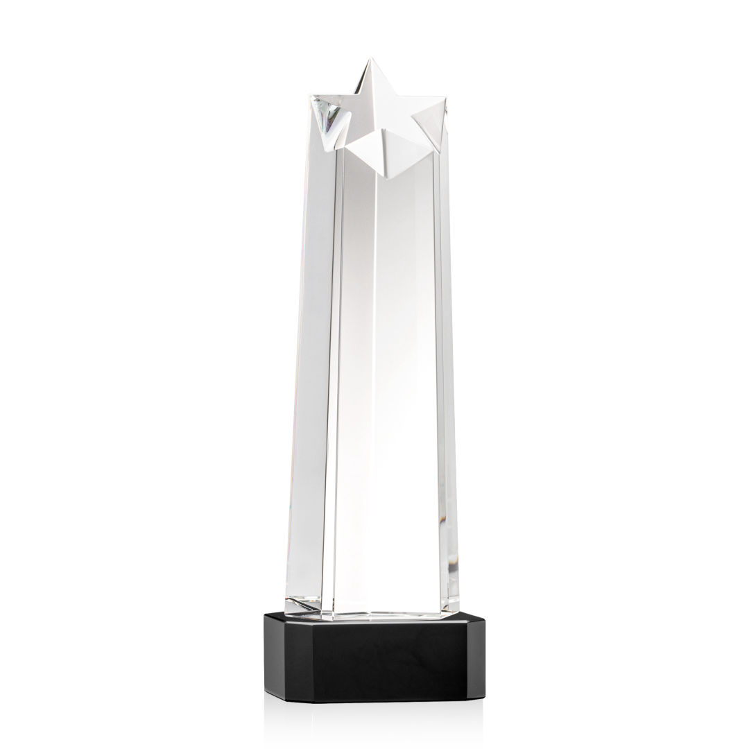 Delaware Star VividPrint™ Award on Base - Black 8