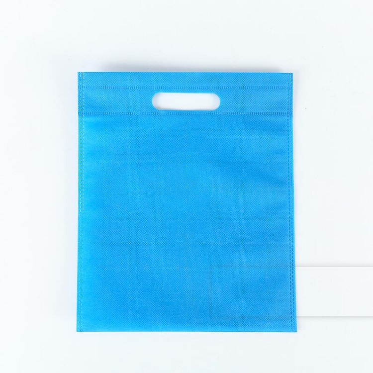Non-Woven Shopping Bag 3
