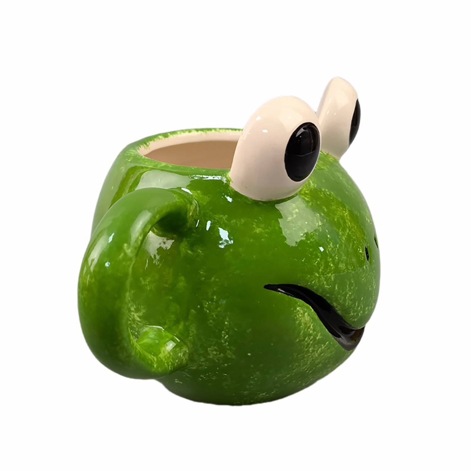 14Oz Frog Mug 5