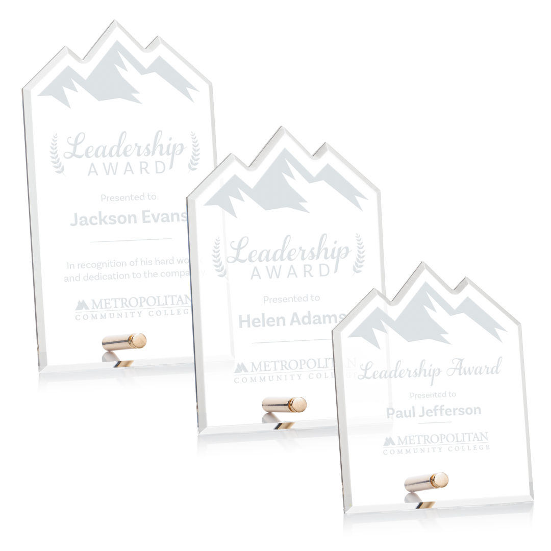 Polaris Summit Award - Gold 5
