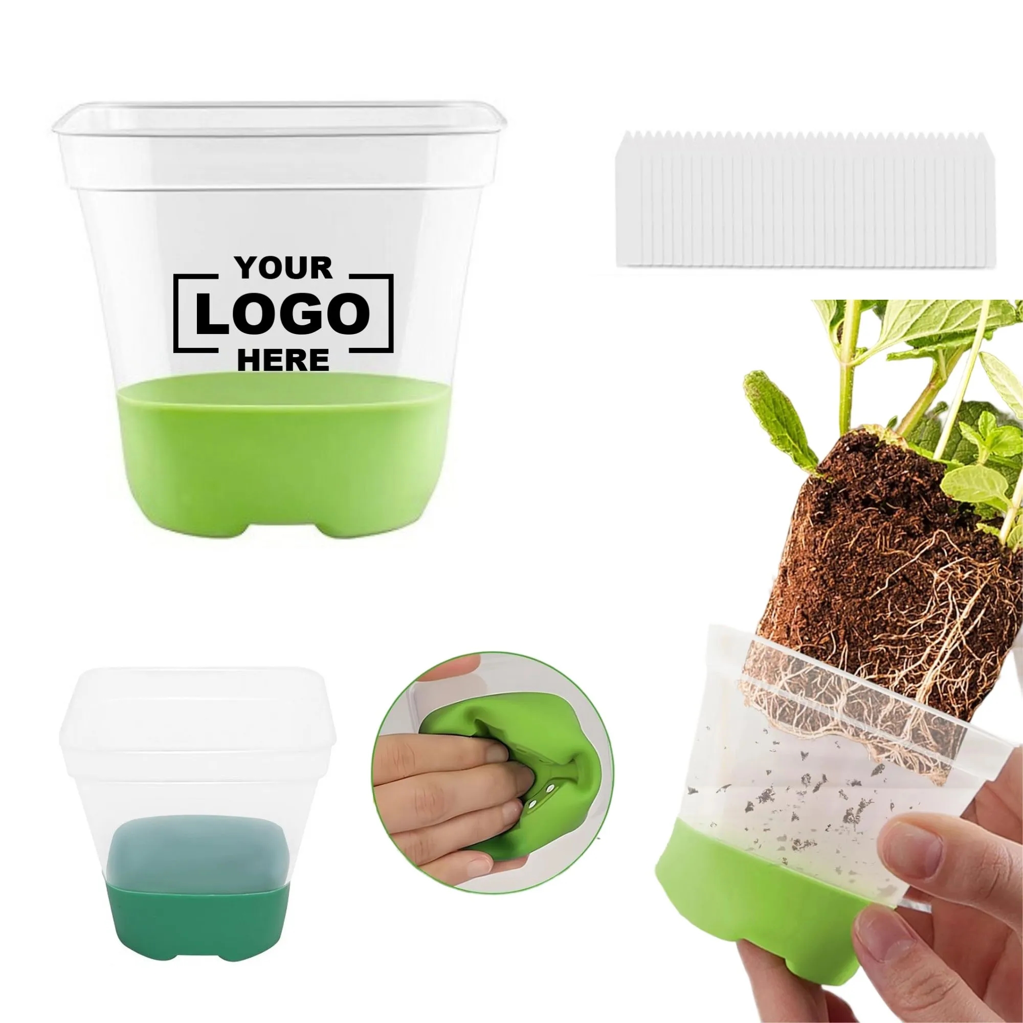 3-Inch Transparent Planting Seedling Tray