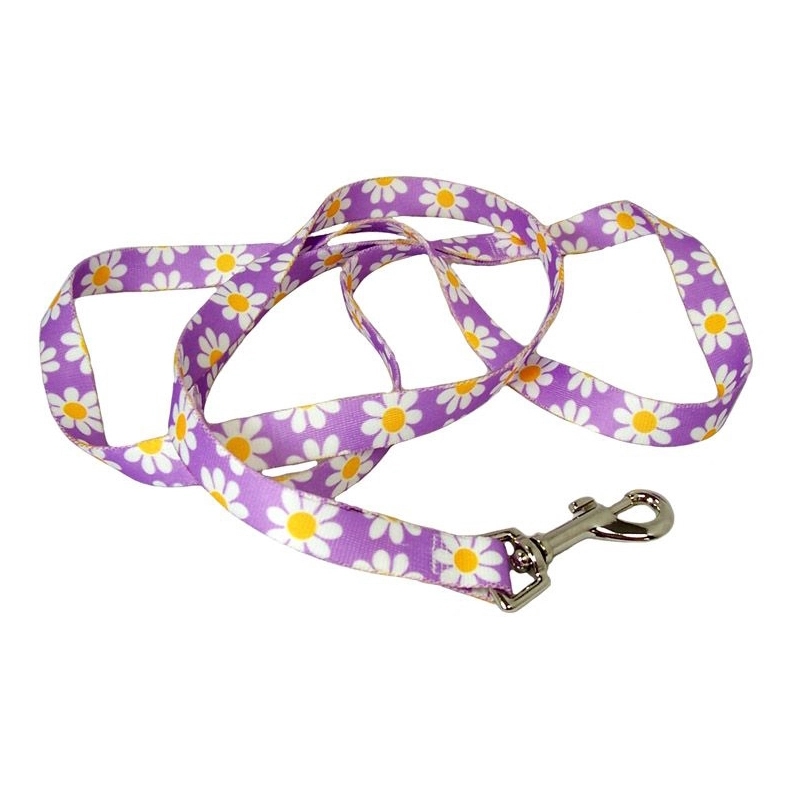 Polyester Dog Leash 4