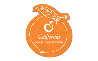 Peach Shammy Coaster 6