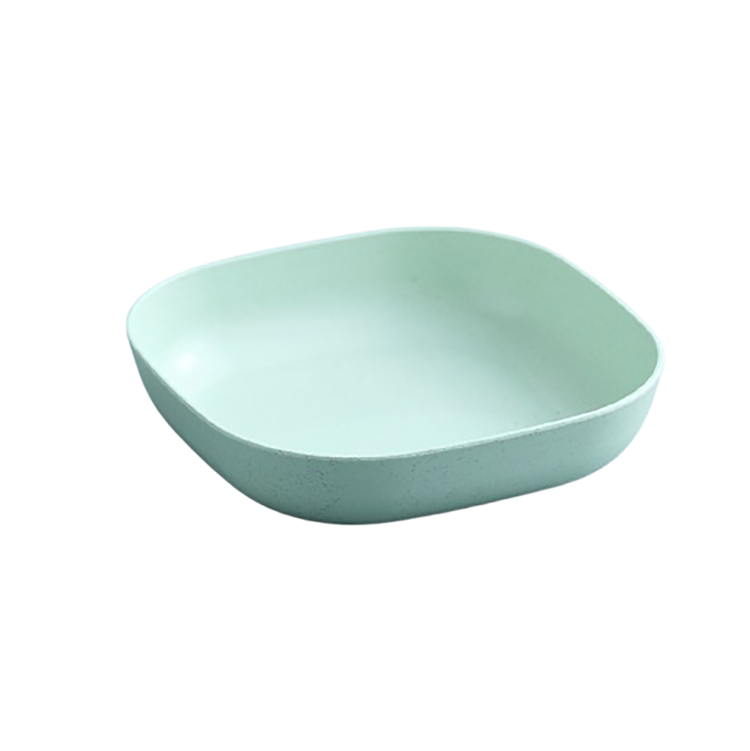 Plastic Dinner Plate 6