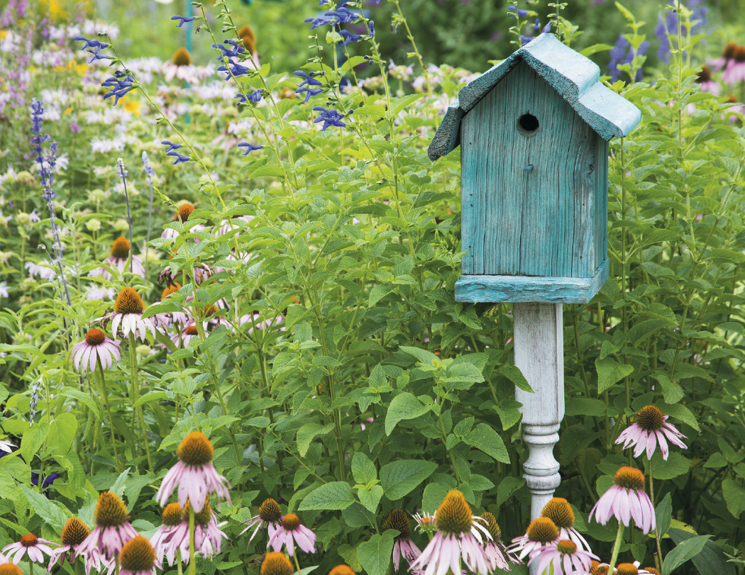 HotLine® Products Gardens Appointment Calendar - Stapled 3