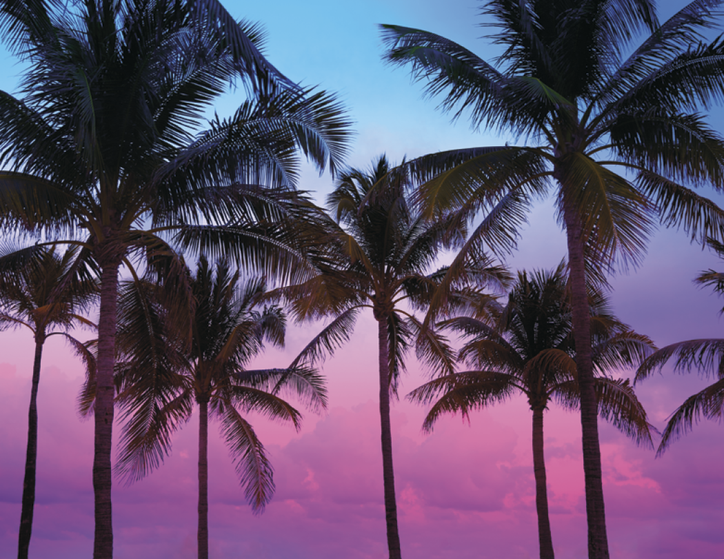 Triumph® Calendars Sunrise Sunset Calendar 41