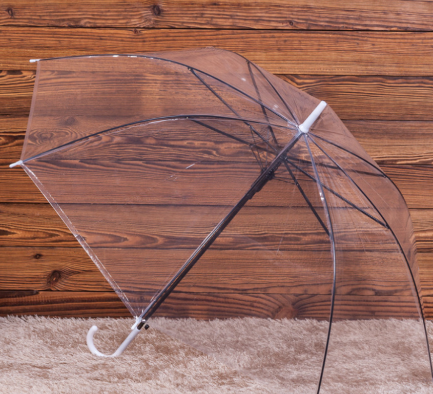 Straight Transparent Umbrella 2