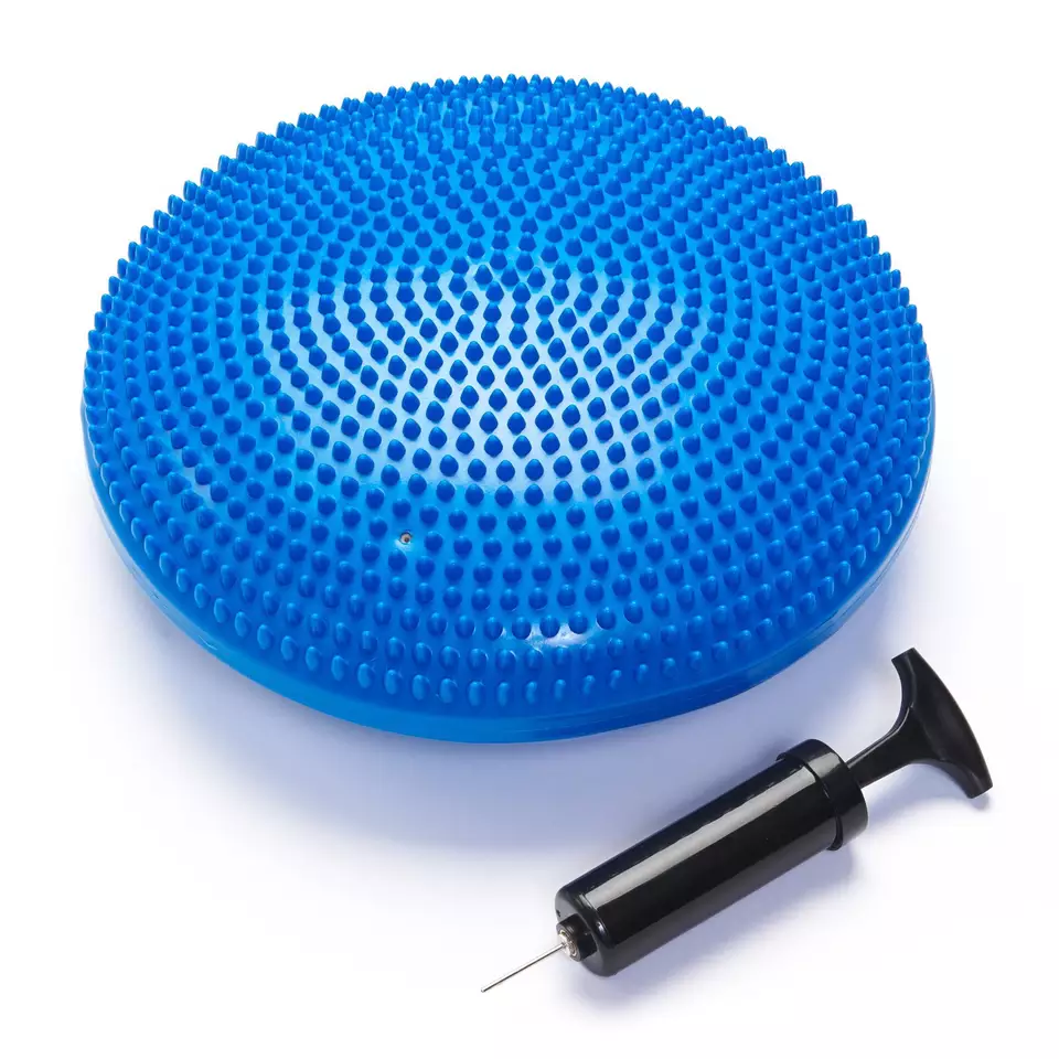 Wobble Cushion 1
