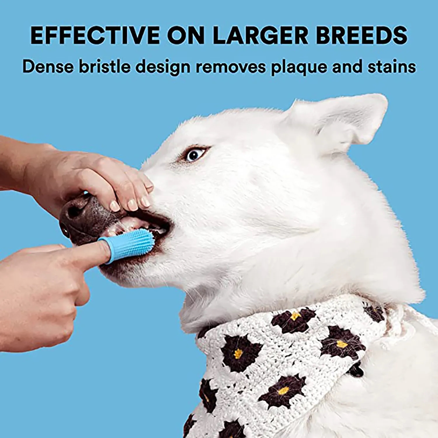 Silicone Pet Toothbrush 3