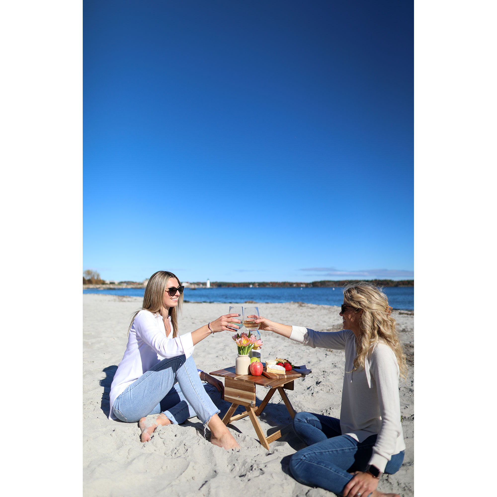 La Cuisine™ Picnic Table & Carrier 8