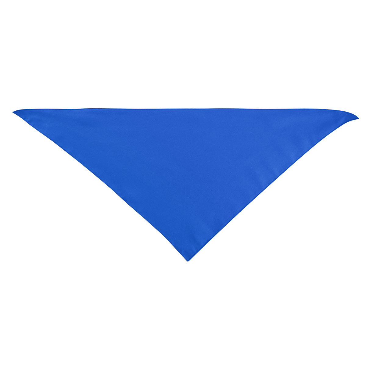 Large Triangle rPET Pet Bandana 10