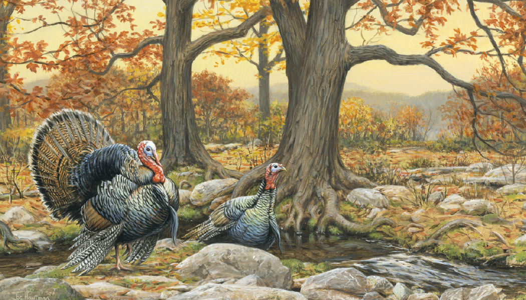 Triumph® Calendars Wildlife Art by the Hautman Brothers Calendar 12