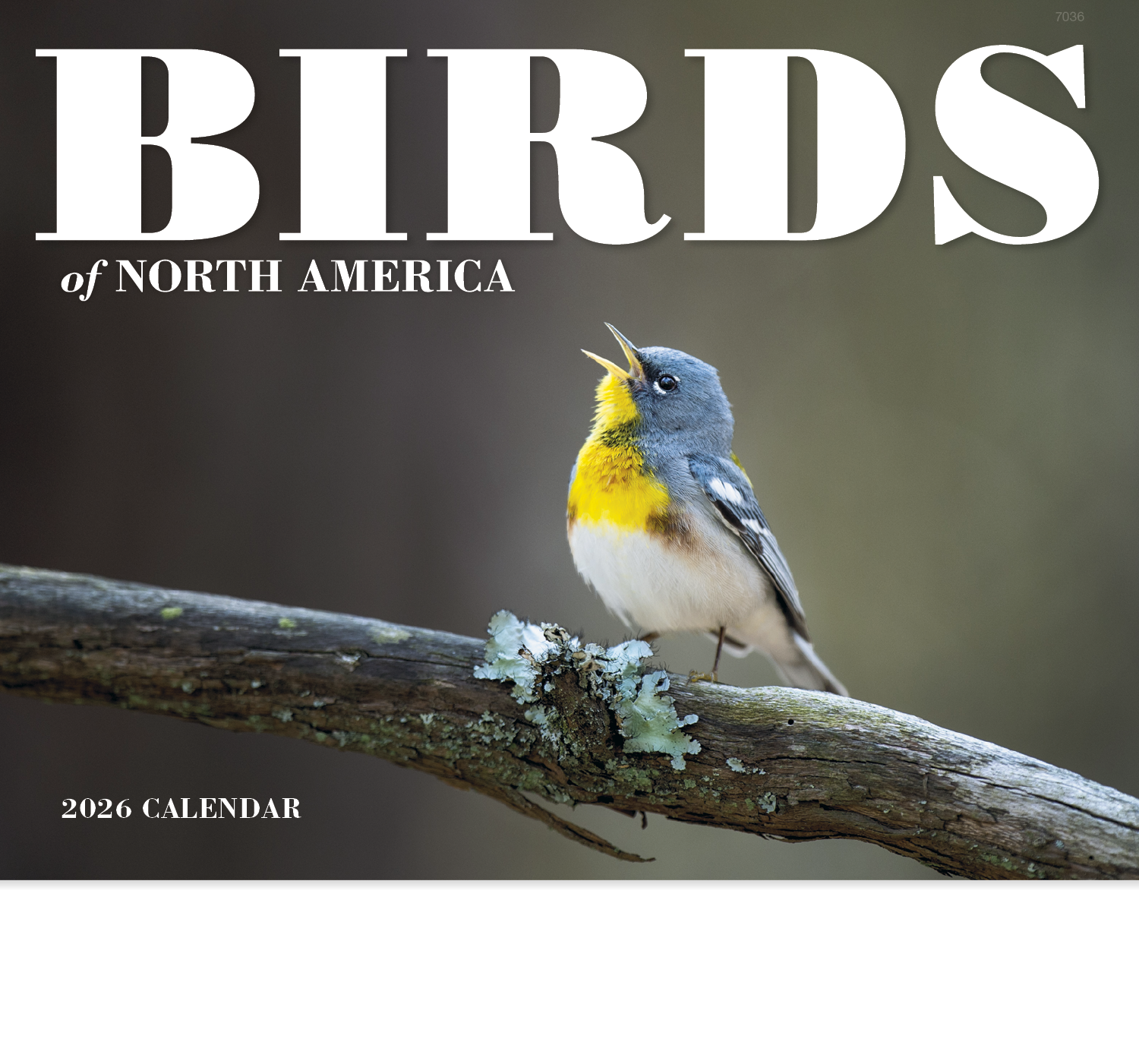 Good Value™ Birds of North America - Stapled Calendar 12